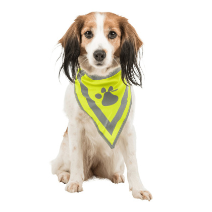 Reflektierendes Halstuch für Hunde